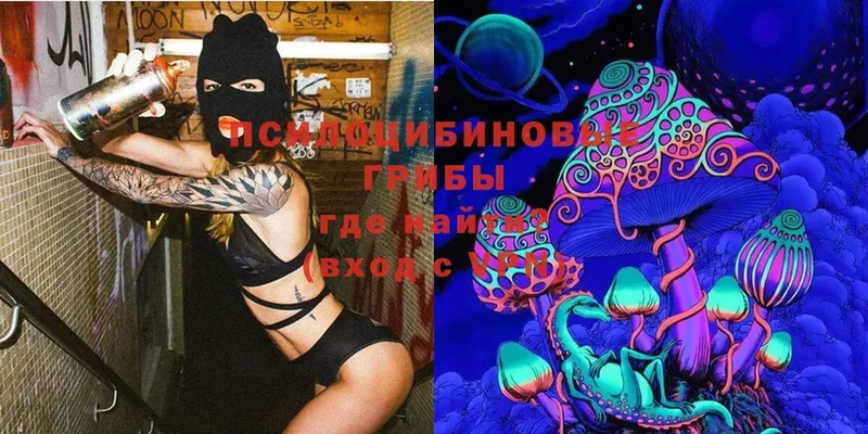 где найти   ссылка на мегу ссылки  Галлюциногенные грибы Magic Shrooms  Анжеро-Судженск 